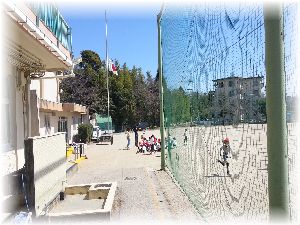 ファイル 1330-1.jpg