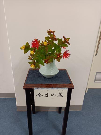 今日の花を開きます。