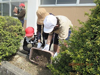 土を花壇に入れる